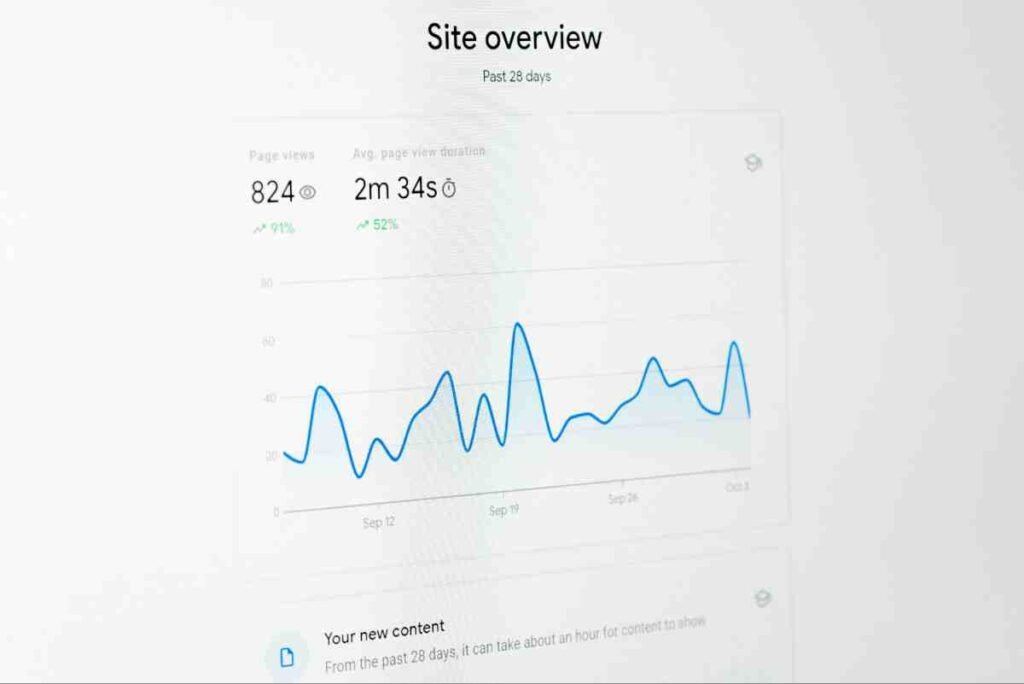 Site overview dashboard with page views and a traffic line graph, tracking SEO vs PPC small business performance